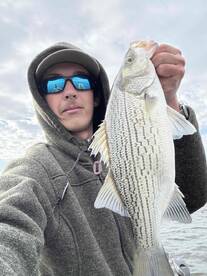 A Mess Before The Fish