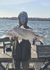 A Mess Before The Fish