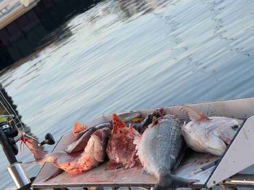 A great afternoon out fishing