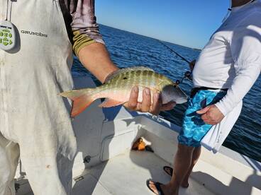 Capt Craig was absolutely perfect!!!