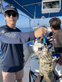 Recommend for family also