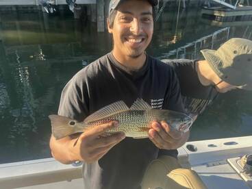 Perfect Captain for Fishing Trip