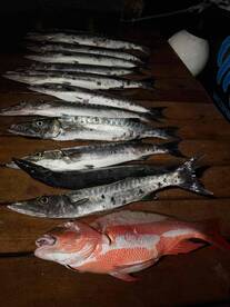 Excellent 6 hour trip in the afternoon!