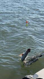 Gorgeous morning with Gerald