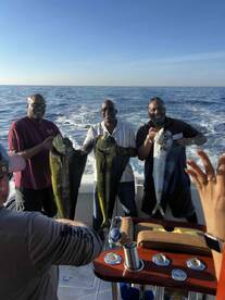 landed one marlin, three big dorado, 16 yellow fin tuna
