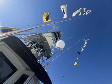 landed one marlin, three big dorado, 16 yellow fin tuna