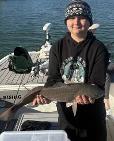 Captain Pierre is awesome