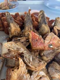 November fishing trip