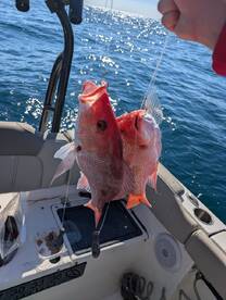 4hr with Captain Stephen