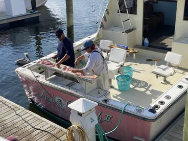 November fishing trip