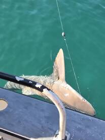 Great first experience 