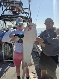 Great first experience 