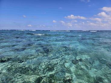 Experienced and Amazing 