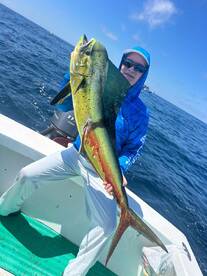 Excellent experience