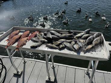 You\u2019ll catch too much!