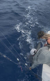 Amazing Morning Charter with Cpt. Brent and Crew Logan