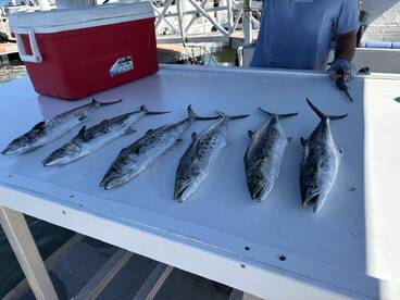 Great trip, lots of fish