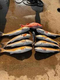 November fishing trip