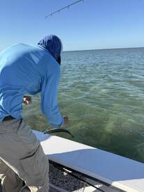 Endless Knowledge and Appreciation of the Ecosystem!