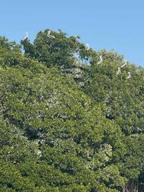 Endless Knowledge and Appreciation of the Ecosystem!