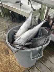 perfect day, great catch