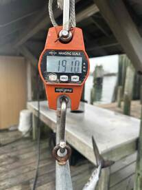 perfect day, great catch