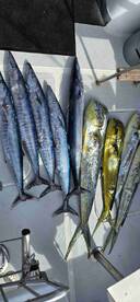 November fishing trip