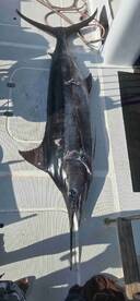 November fishing trip