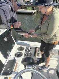 captain Artie is a goat