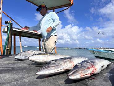 Don\u2019t wait - just book now!