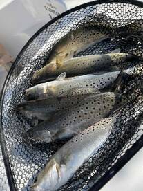 Very good experience