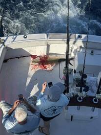 deep sea fishing