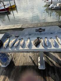 great day on the water!