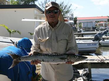 No wahoo but plenty of tuna 