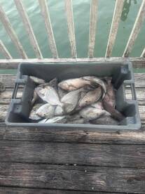 November fishing trip