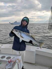 Teacher's Pet, first class charter