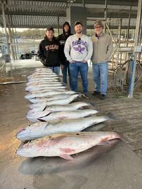 DW\u2019s guide service