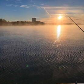 A boat full of fish!