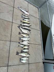 Fishing with Trenton