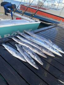 Lots of fish in a short time 