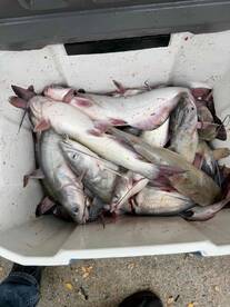 November fishing trip