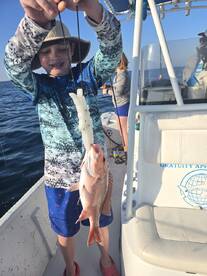 Knowledge and great with kids.  