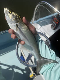 Great fishing experience!