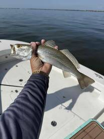 Great morning on thecwater