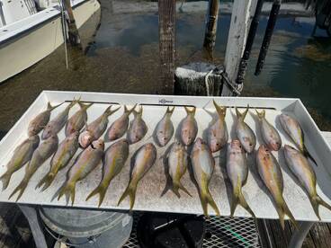 November fishing trip