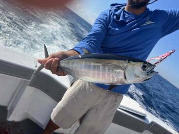 4 hour fight with tiger shark