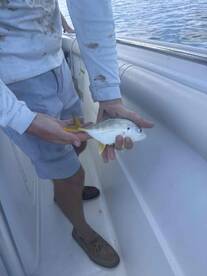 Very nice guys and great boat/equipment