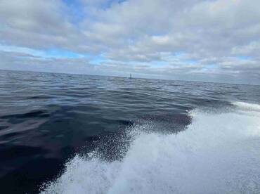 Attentive captain and first mate