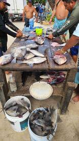 Great for kids first saltwater trip