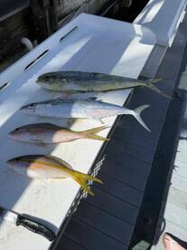 great boat and great crew